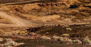 《打者热区图：教练如何利用图像寻找对手的漏洞？》